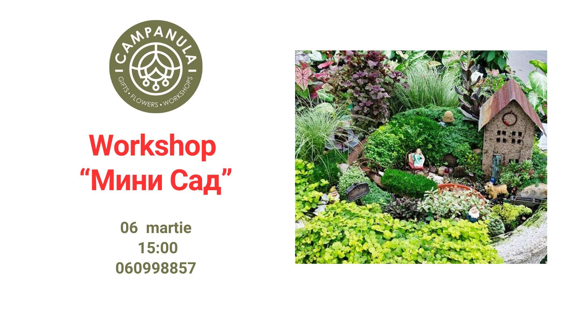 Workshop „Мини сад” | 6 Martie 