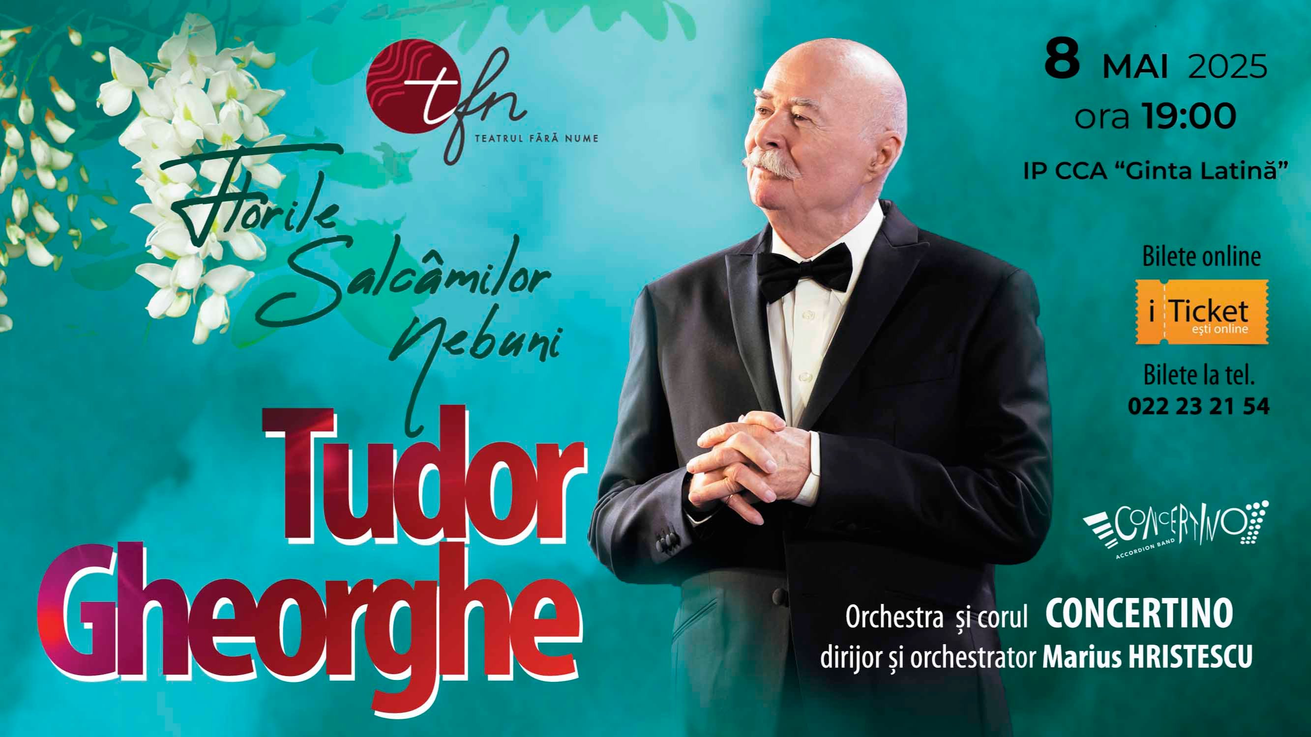 Tudor Gheorghe - Florile salcâmilor nebuni 