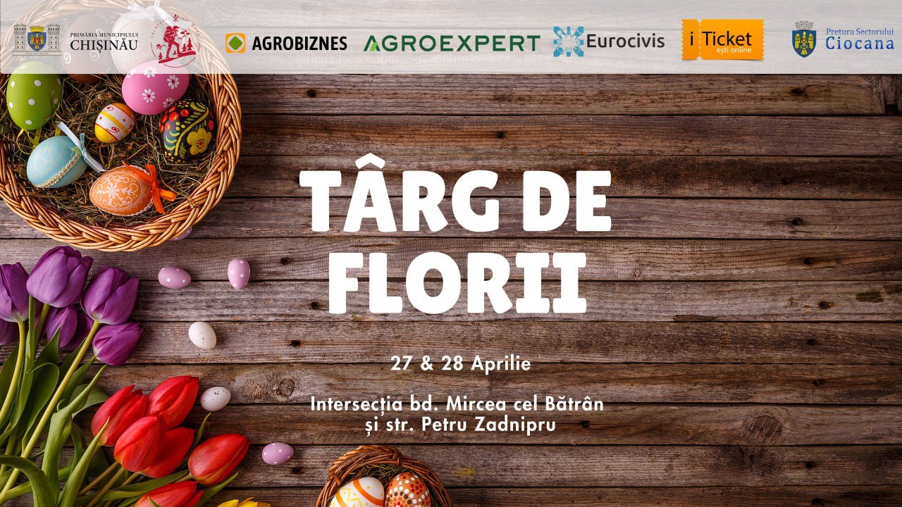 Camara Fest - Târg de Florii  