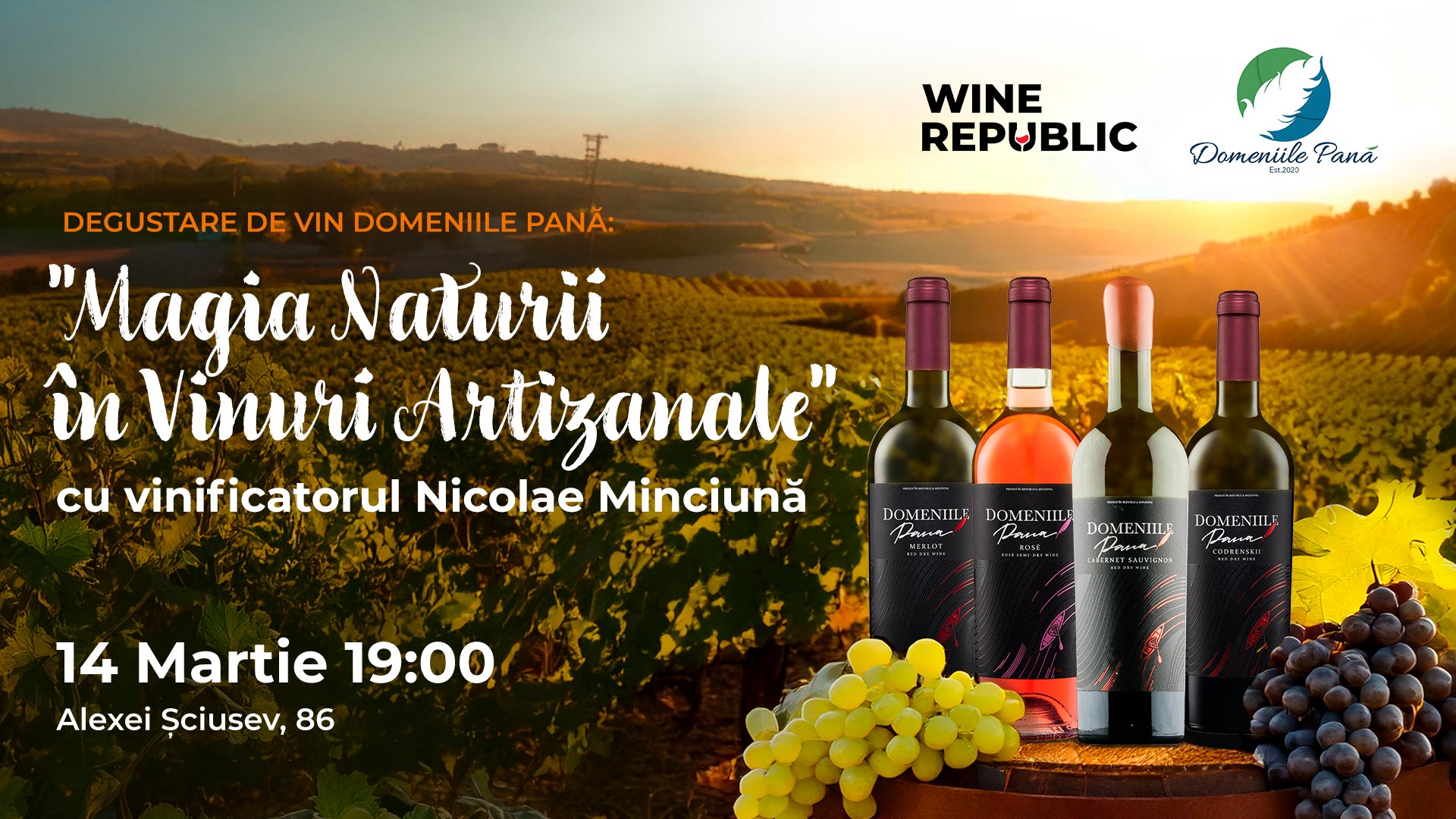Дегустация Вин Domeniile Pană: "Магия Природы в Ремесленных Винах"