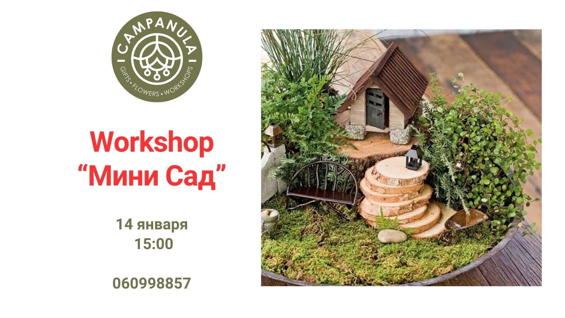 Tворческий воркшоп «Мини-сад» 