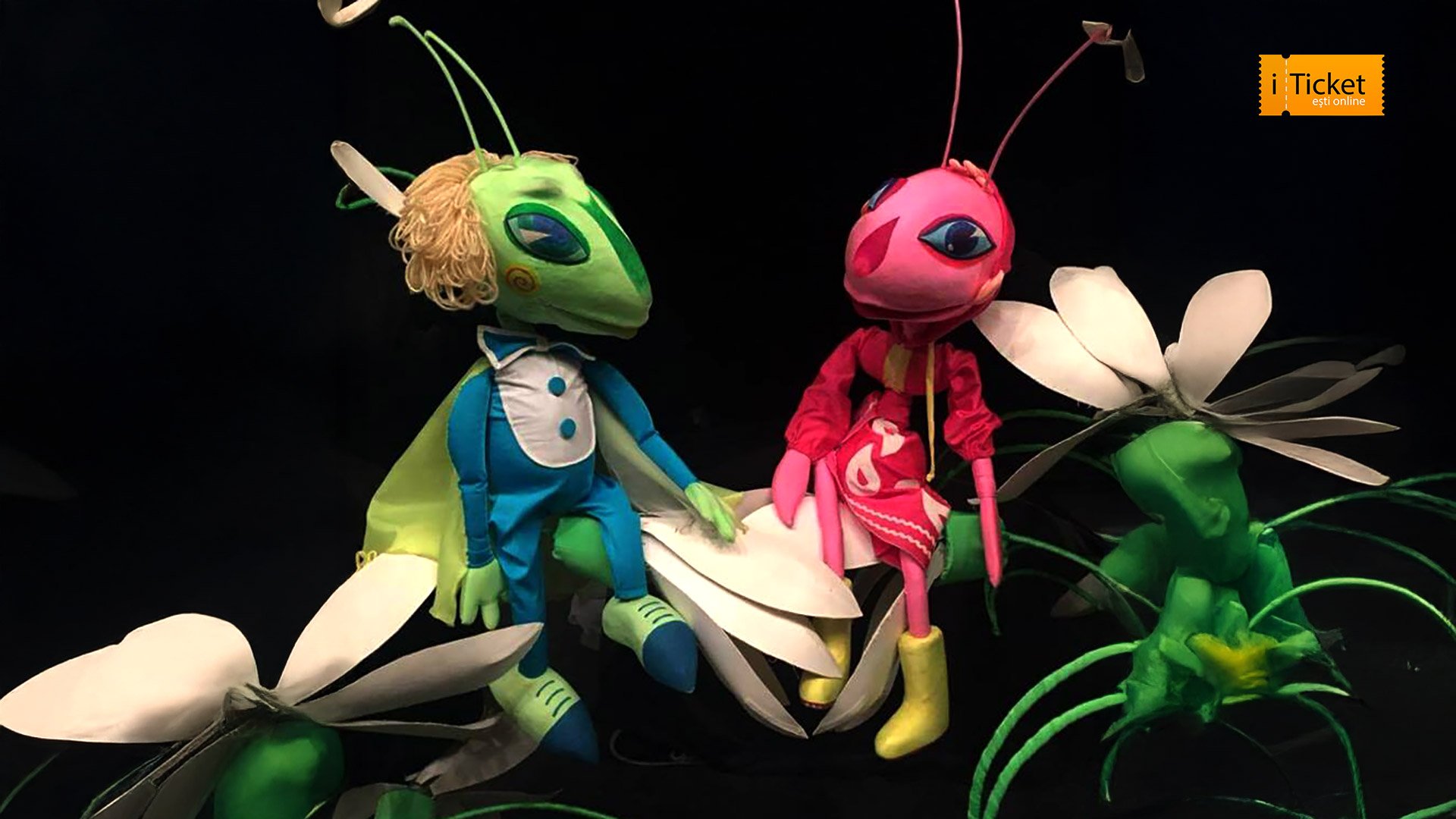 CÂNTĂ, GREIERE!  2+ 