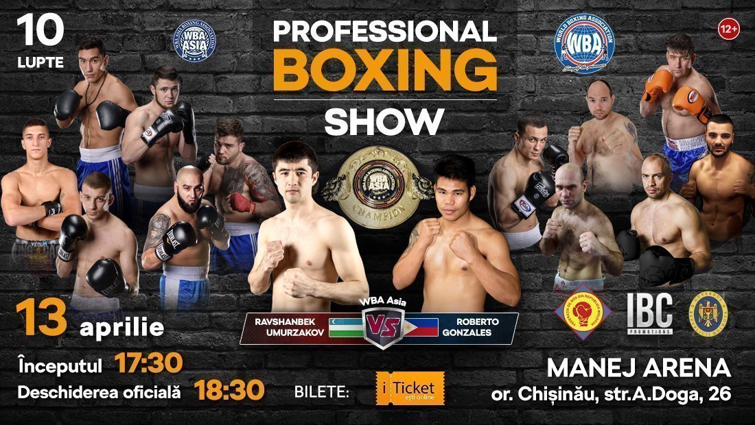 PROFESSIONAL BOXING SHOW
